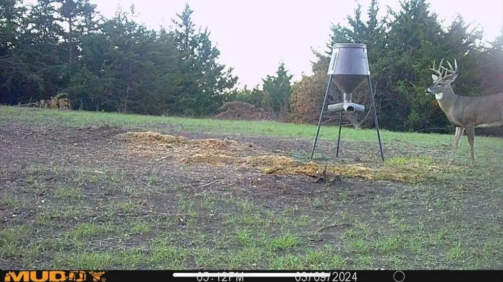 Picture 30