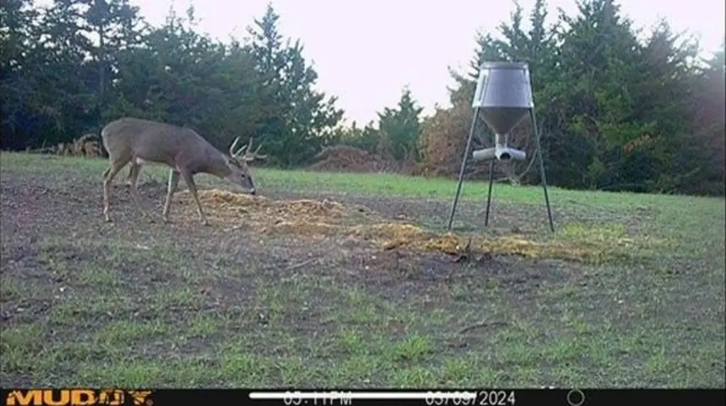 Picture 32