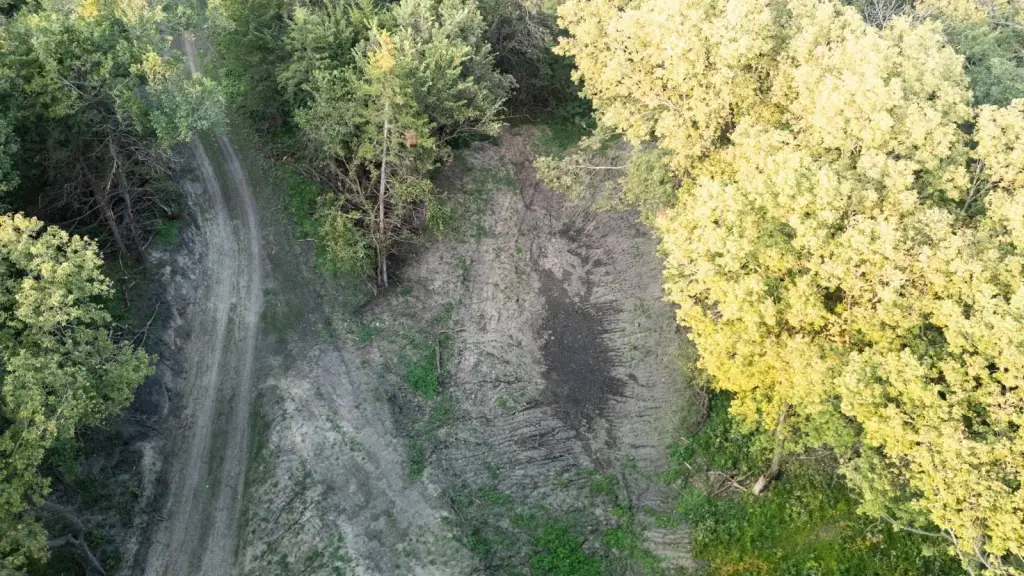 Picture 4
