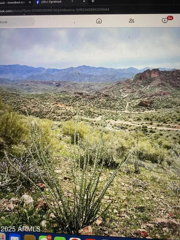 Picture 9