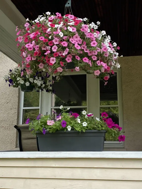 Picture 33