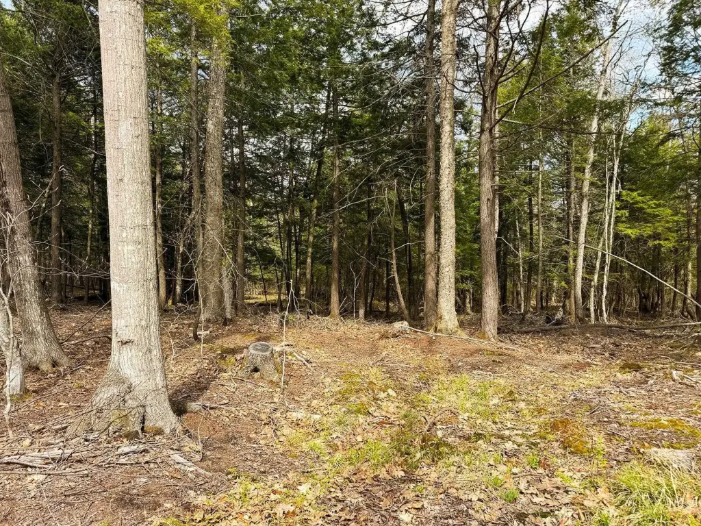 Picture 36