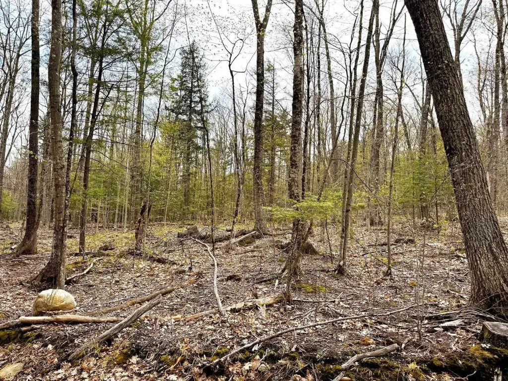 Picture 38