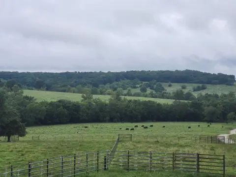 Productive Pastureland in Wright County
