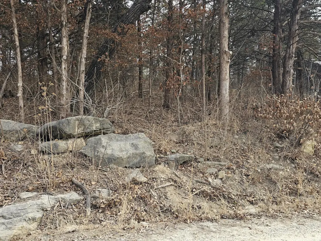 Picture 2
