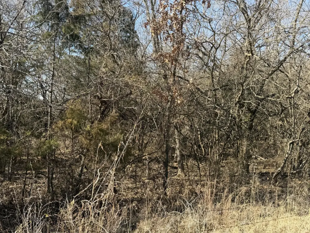 Picture 4