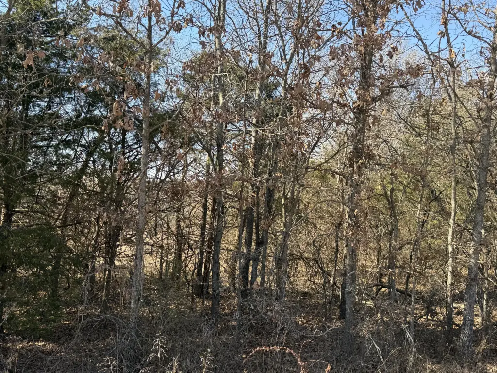 Picture 6