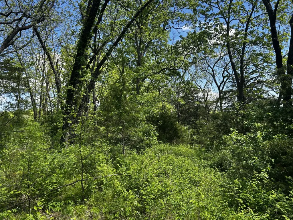 Picture 2