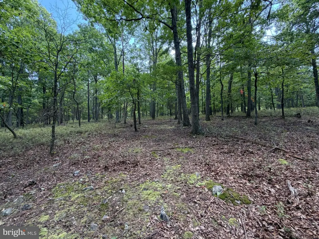 Picture 18