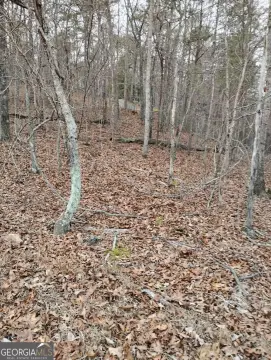 Wooded Land in Canton, Georgia