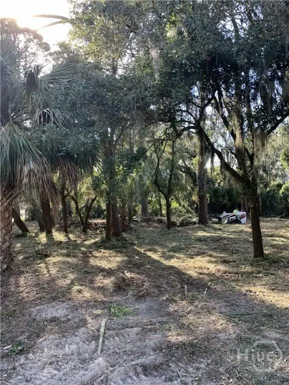 Picture 5