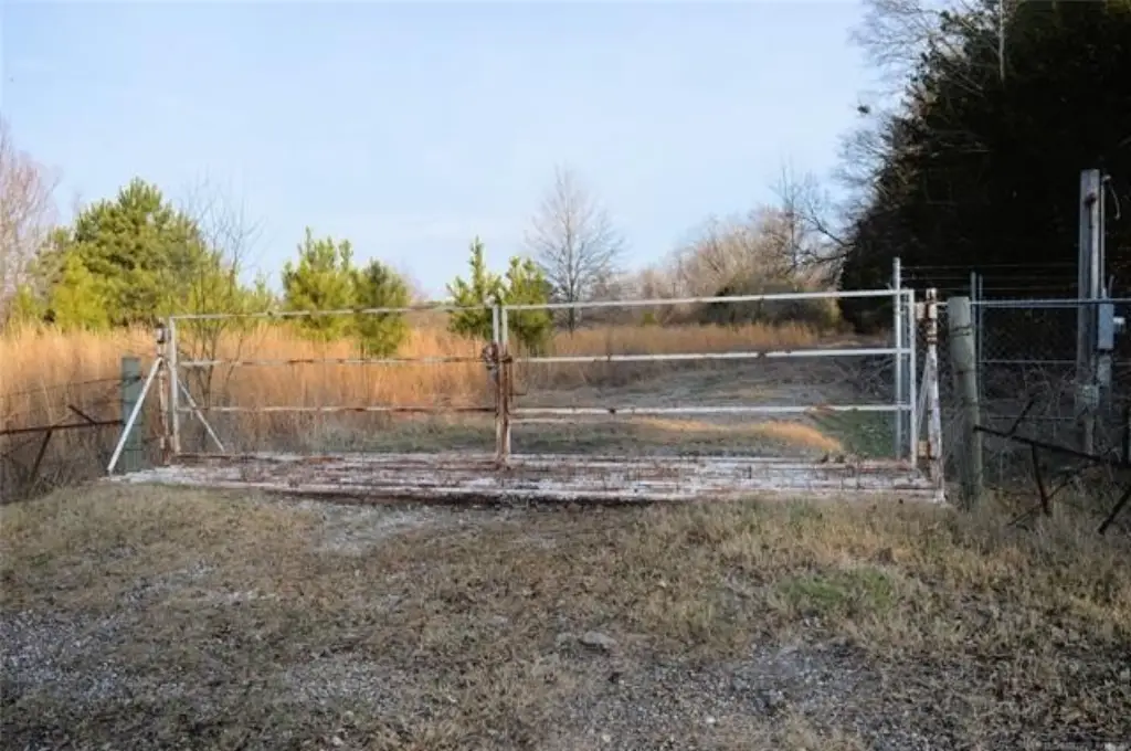 Picture 6