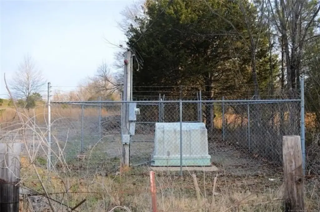 Picture 5