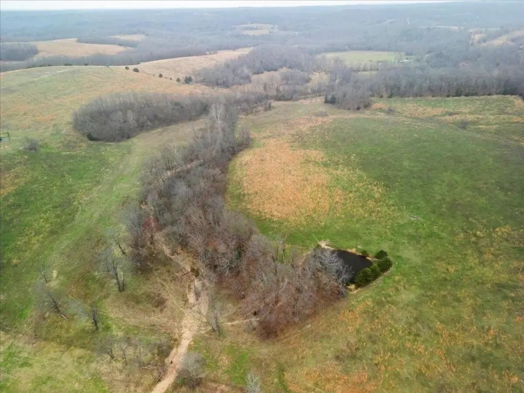 Picture 12