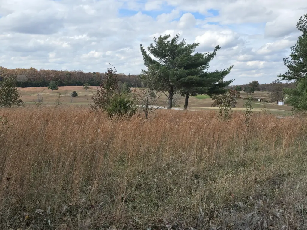 Picture 4