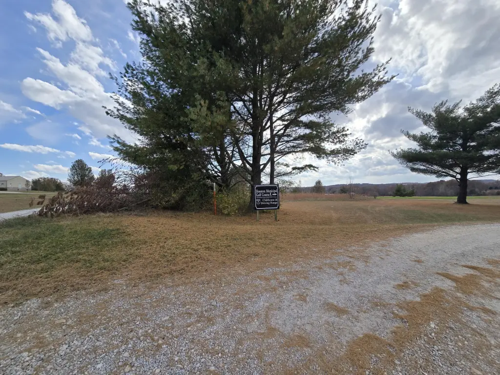Picture 7