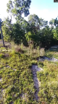 Residential Land in Elgin, SC