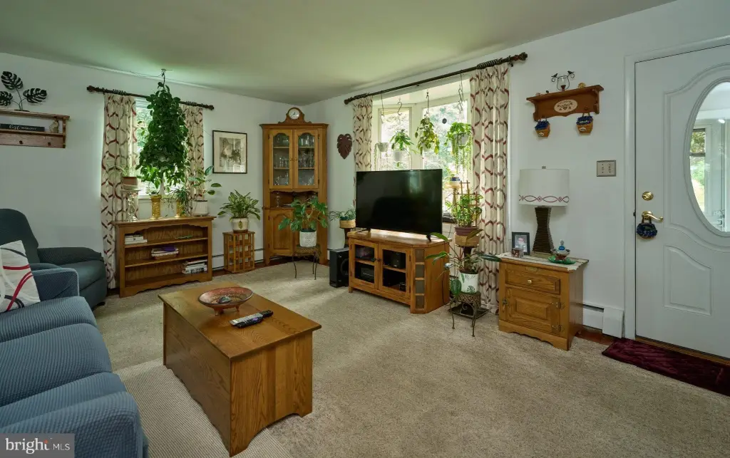 Picture 5