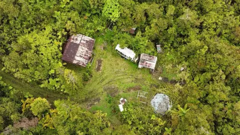 Acre with Cabin in Mountain View