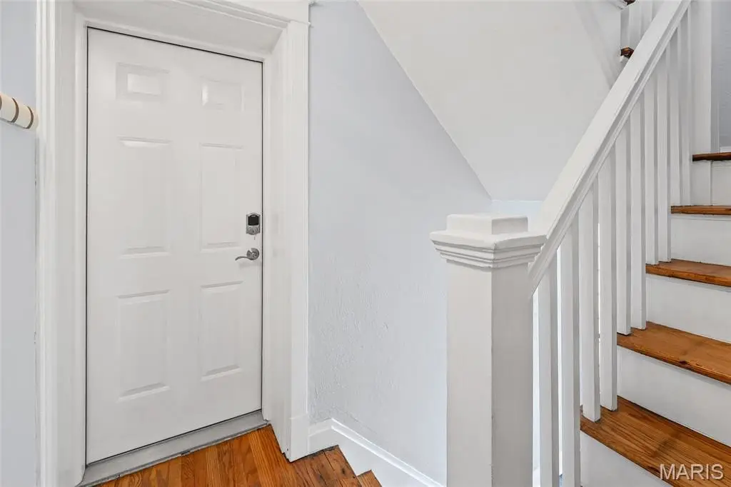 Picture 8