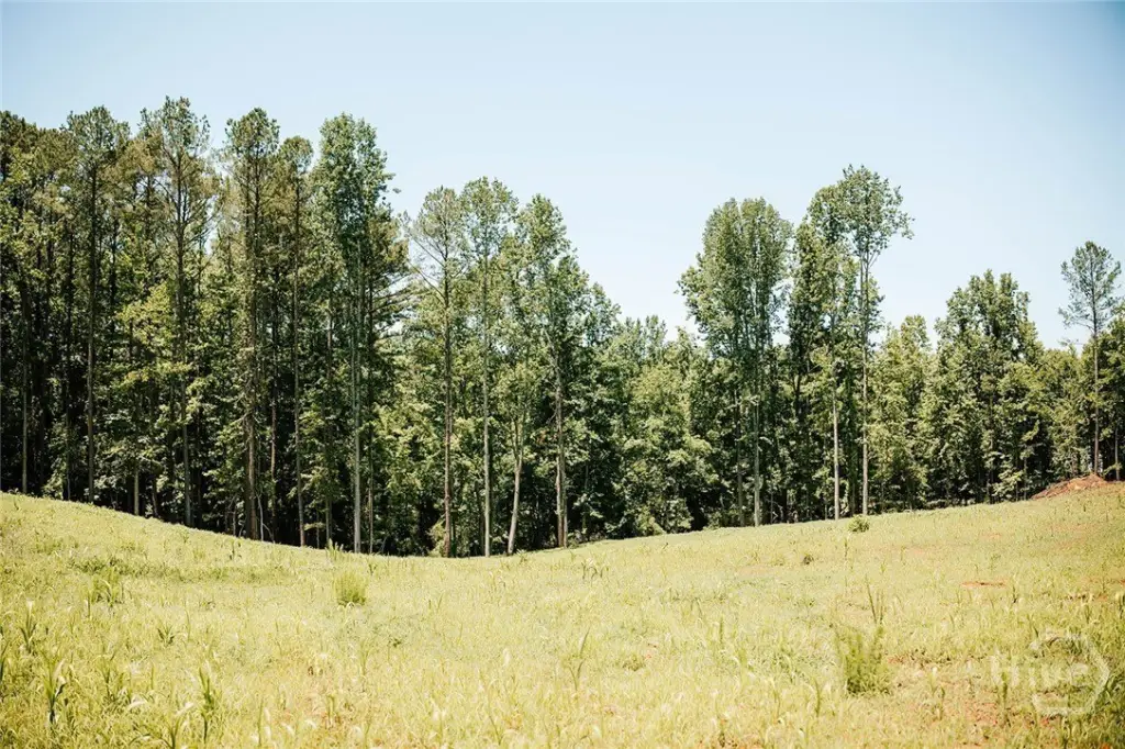 Picture 26