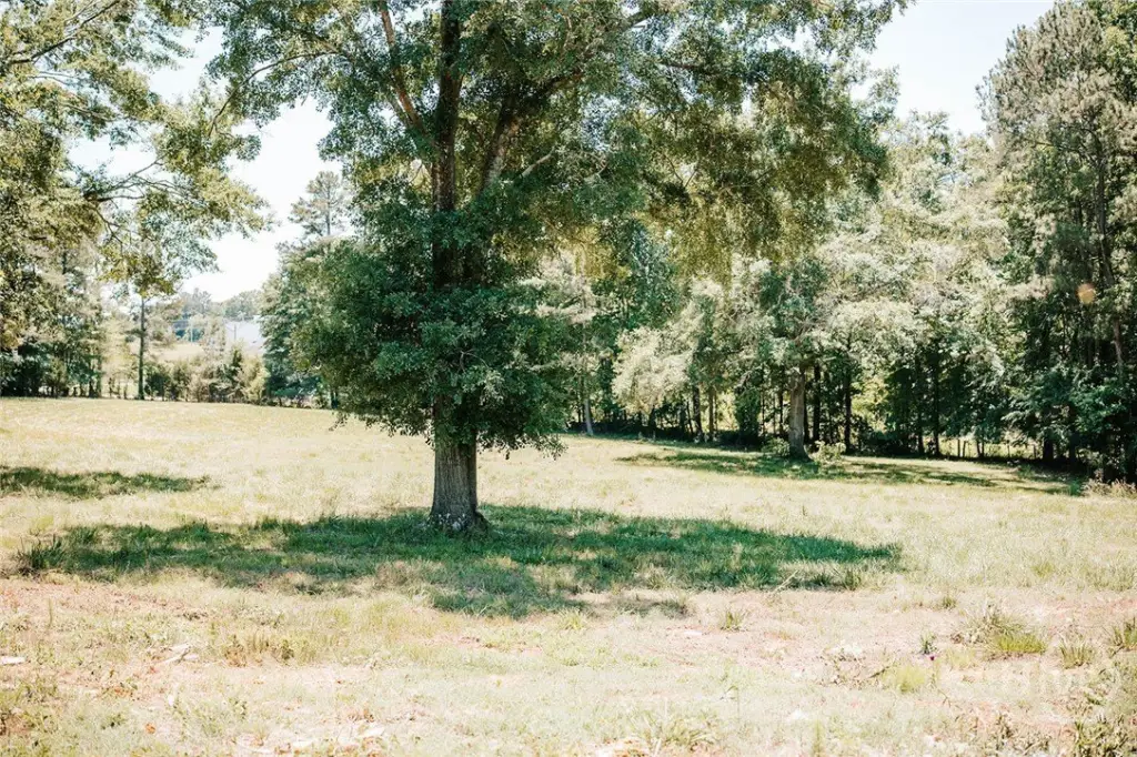 Picture 40