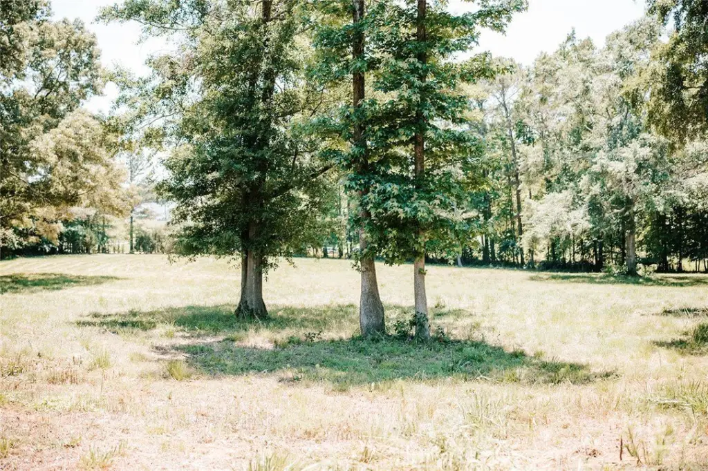Picture 41