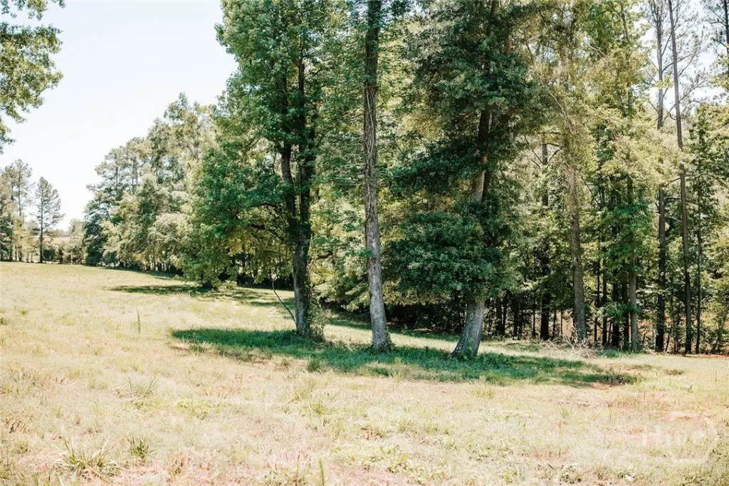 Picture 39