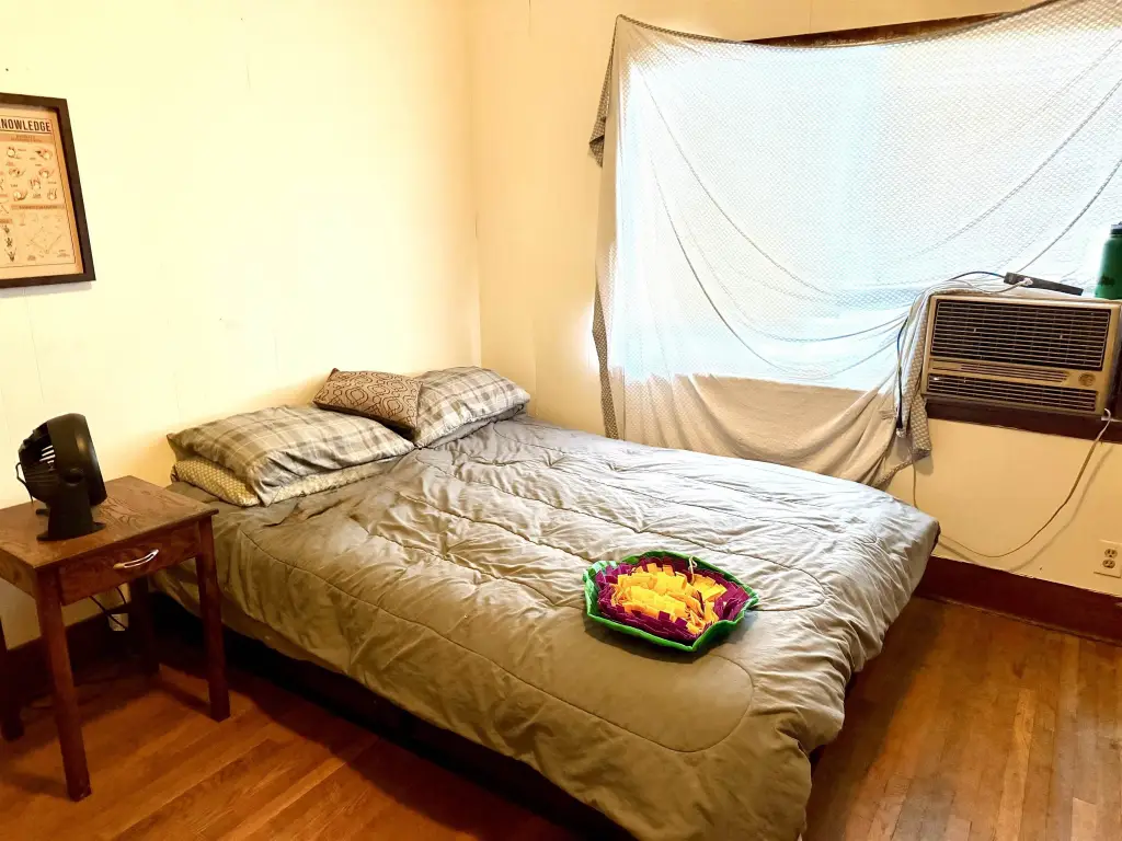 Picture 20
