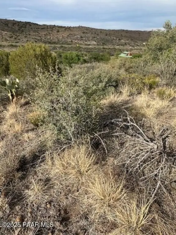 Picture 10