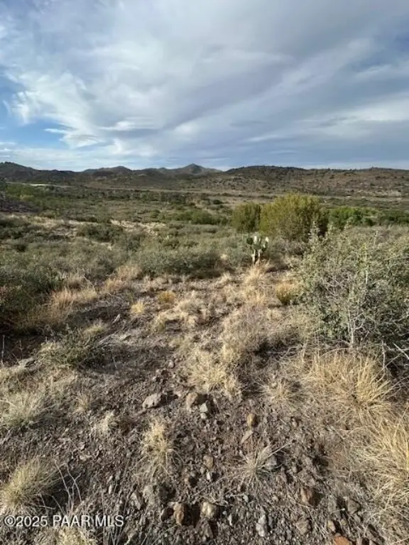 Picture 11