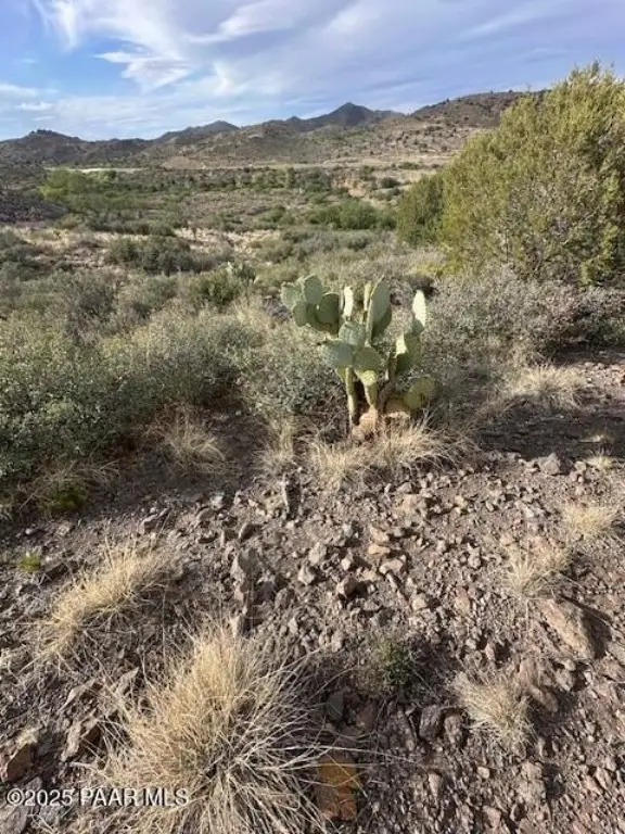 Picture 13