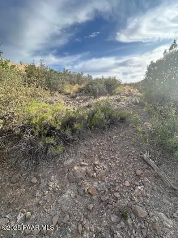 Picture 18