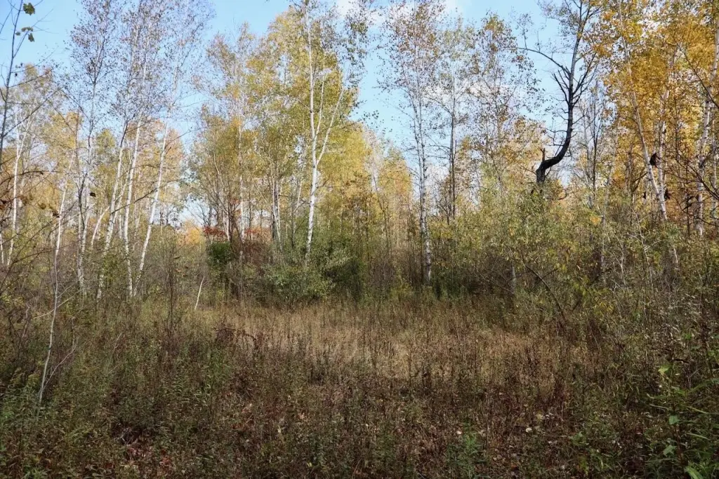 Picture 38
