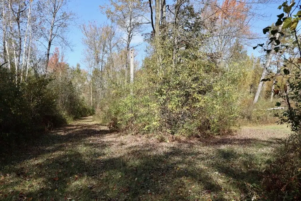 Picture 36