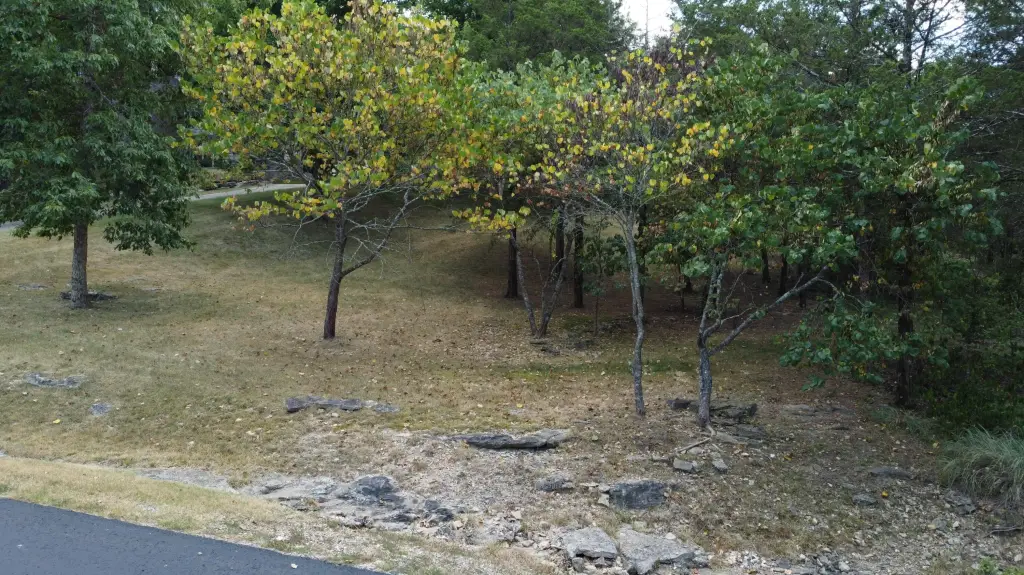 Picture 8