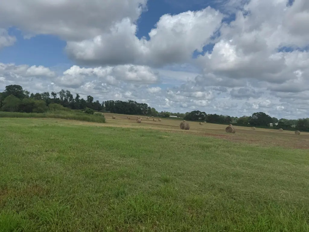 Picture 27