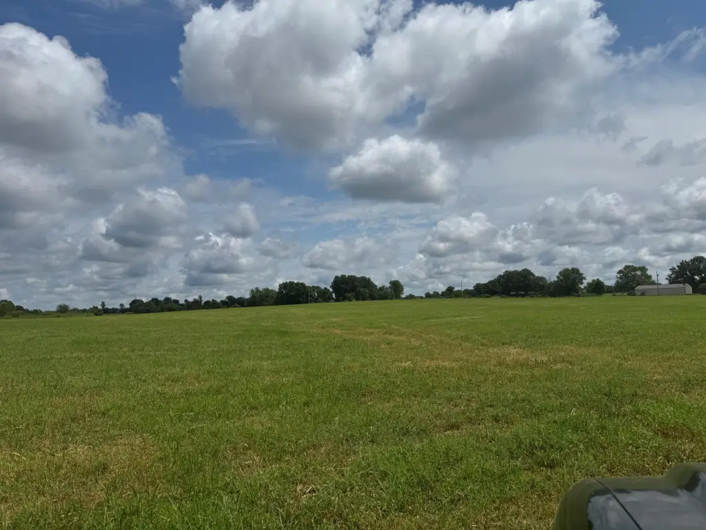 Picture 16