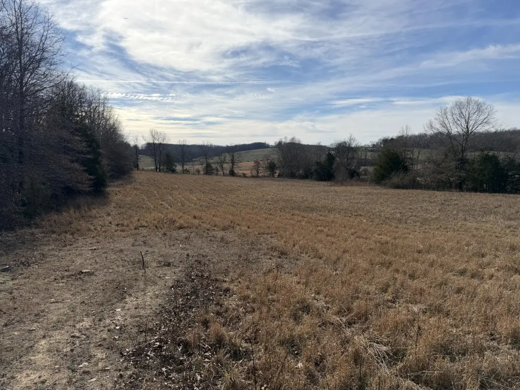 Picture 19