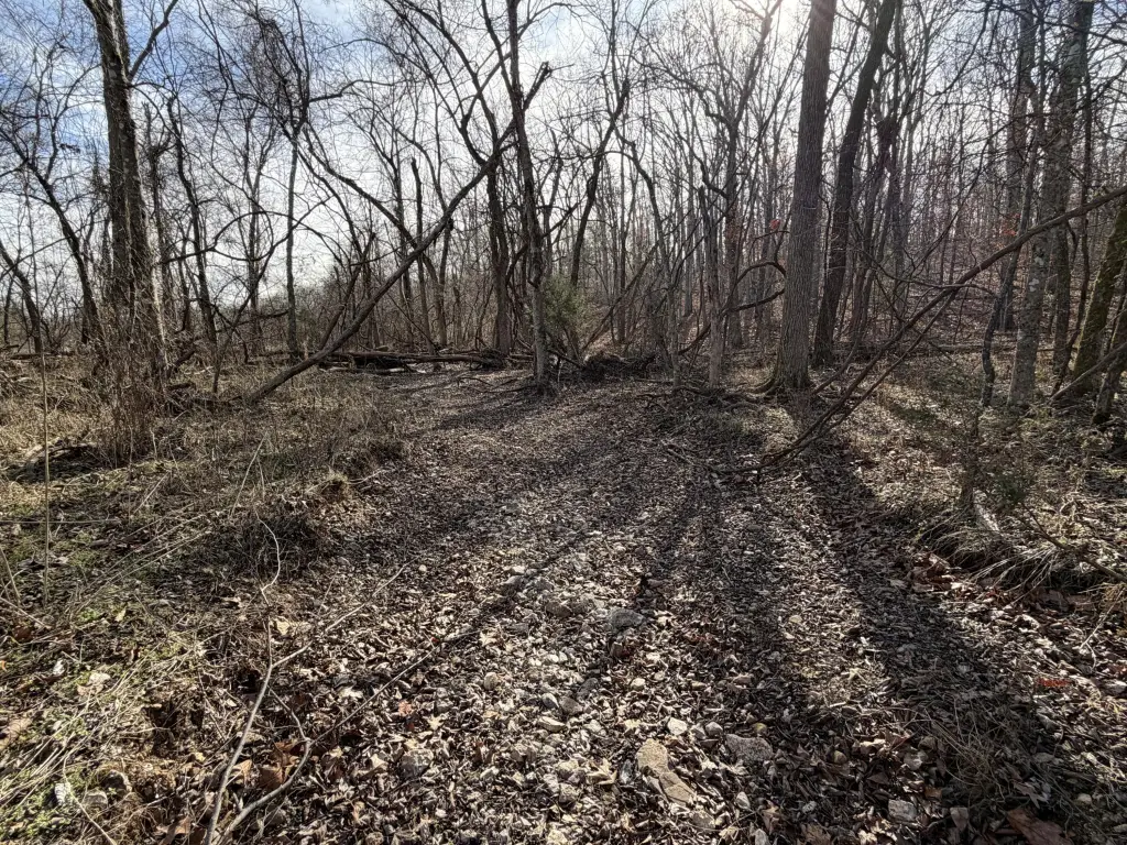 Picture 41