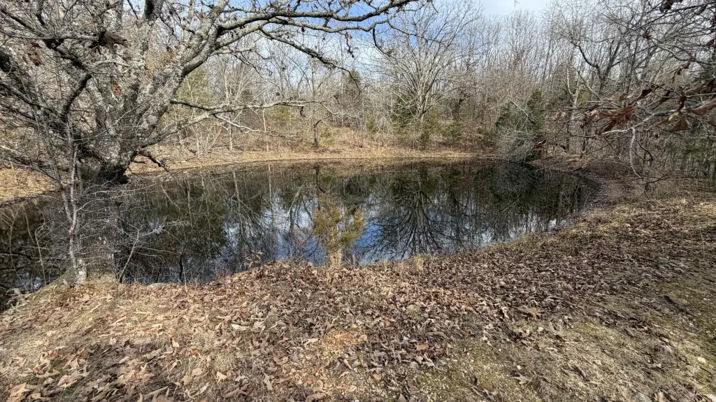 Picture 10