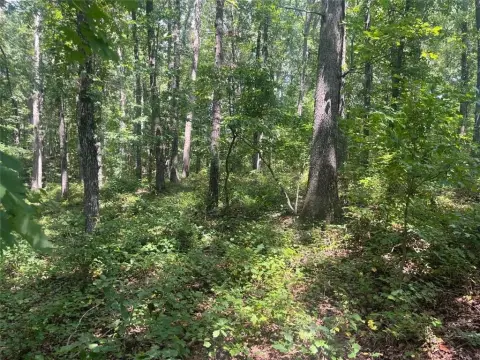6-Acre Lot in Ball Ground