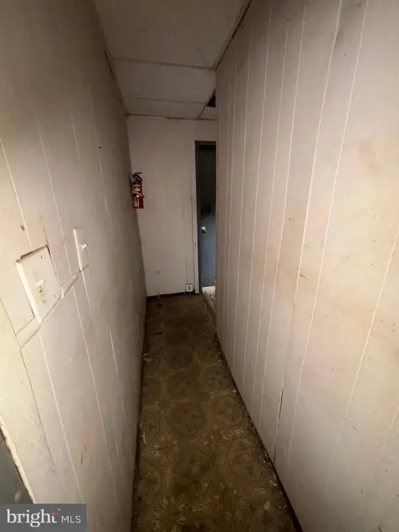 Picture 16