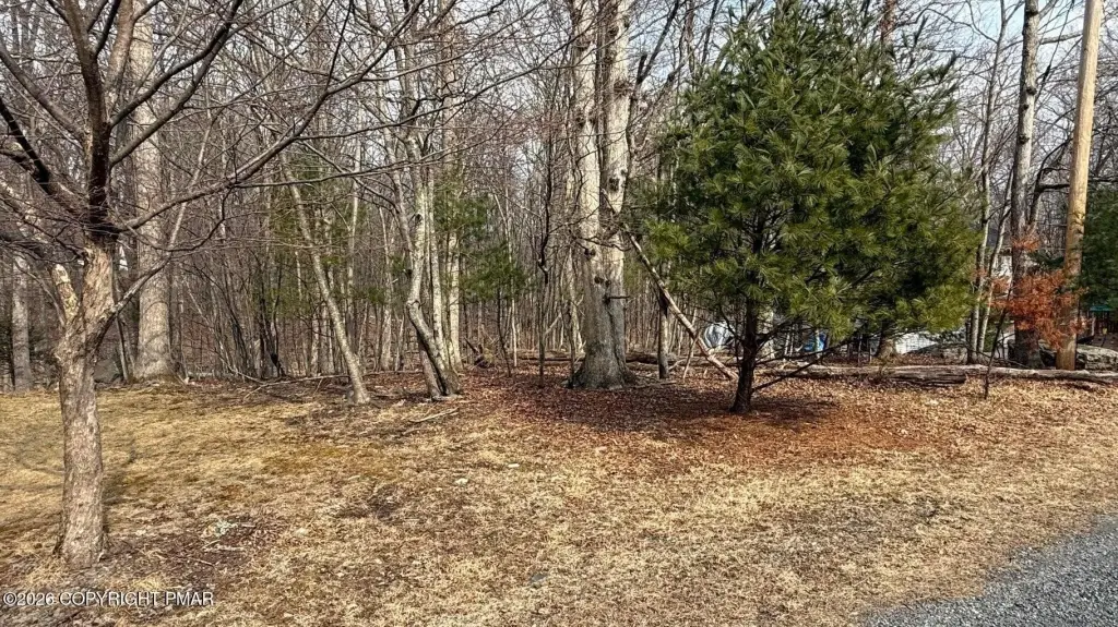 Picture 11