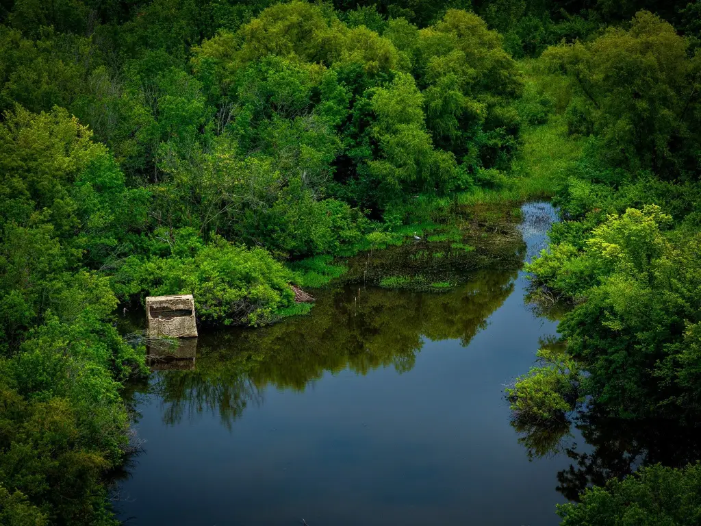 Picture 6