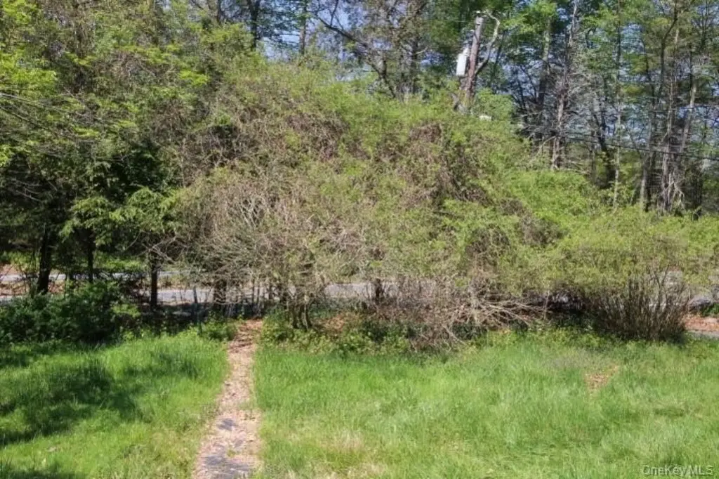 Picture 3