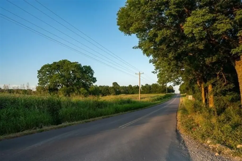 Picture 42