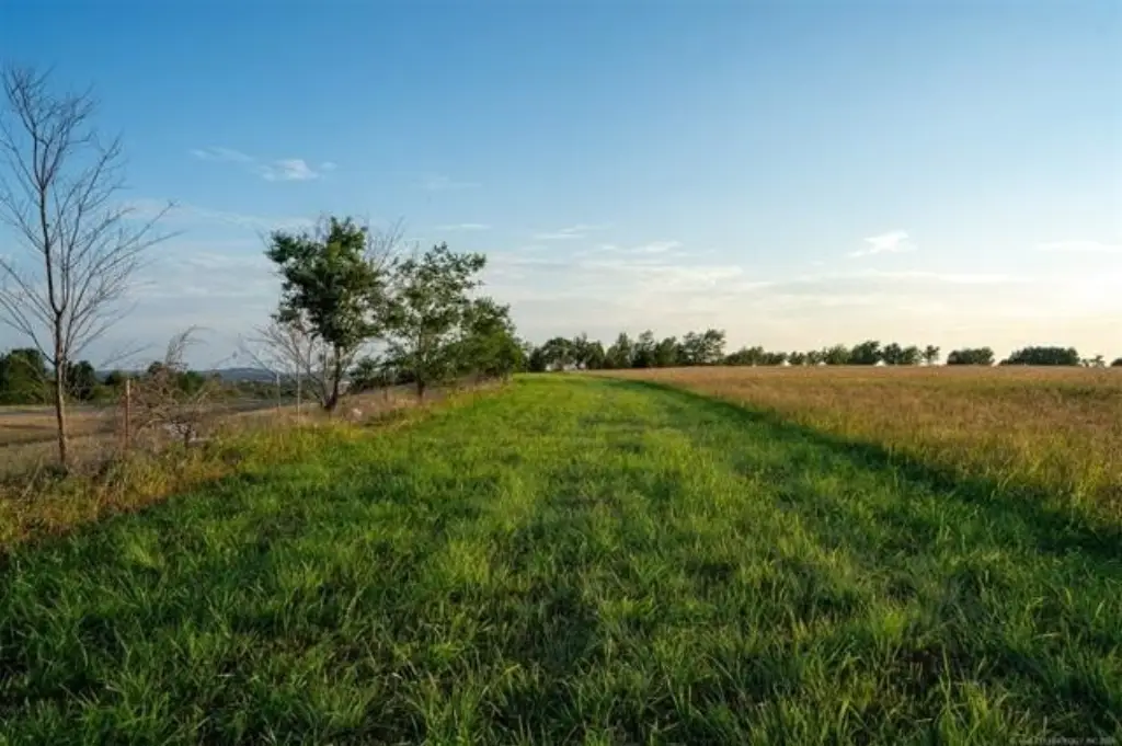 Picture 22