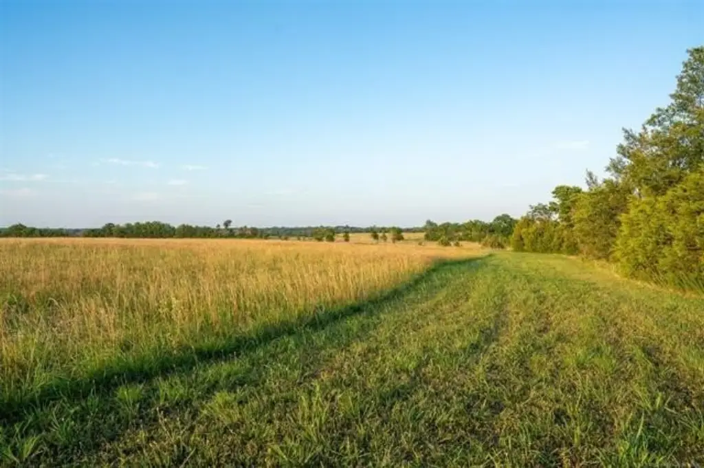 Picture 27