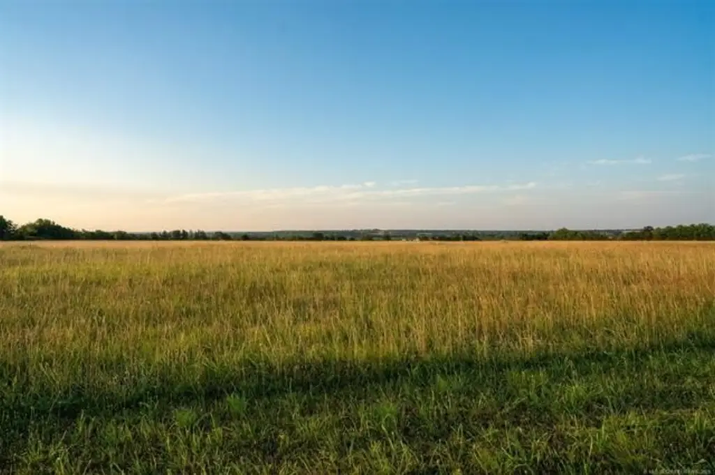 Picture 30